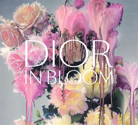 dior flower|dior rose blooming flowers.